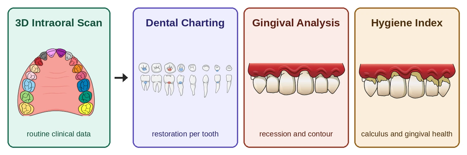 Overview of ARTIS: a 3D intraoral scan, routine clinical data, is used for three tasks: dental charting (restoration per tooth), gingival analysis (recession and contour) and a hygiene index (calculus and gingival health).